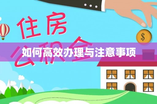 文登如何高效办理与注意事项