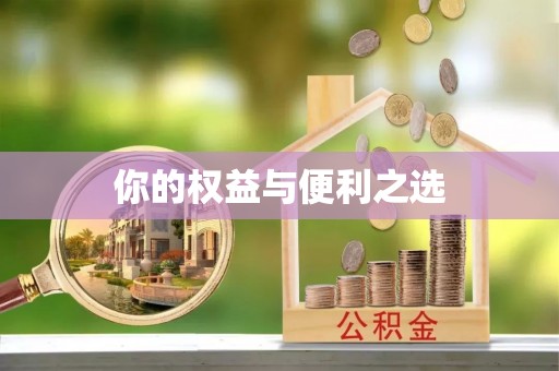 文登你的权益与便利之选