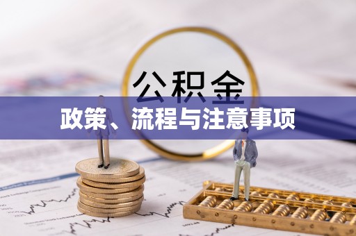 文登政策、流程与注意事项