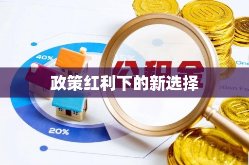 文登政策红利下的新选择