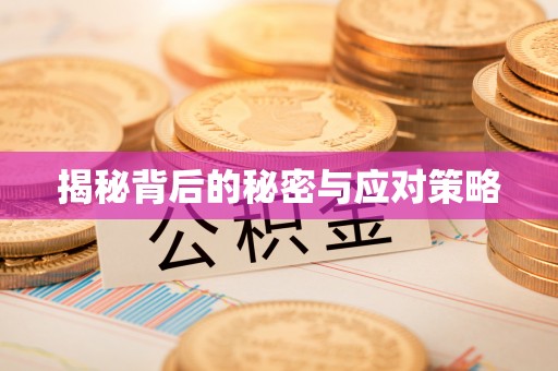 文登揭秘背后的秘密与应对策略