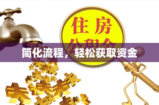 文登简化流程，轻松获取资金