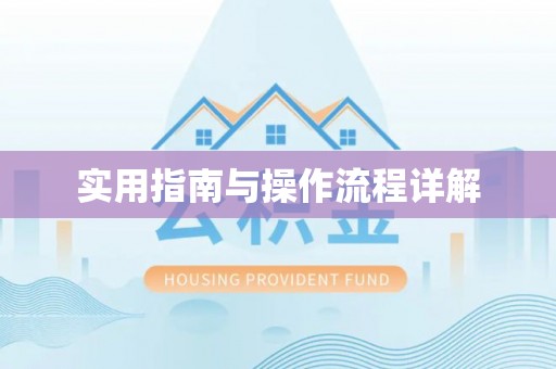 文登实用指南与操作流程详解