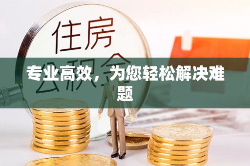 文登专业高效，为您轻松解决难题