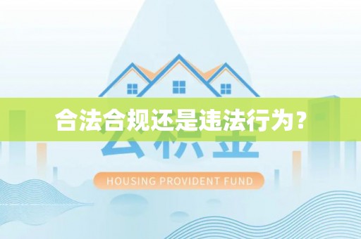 文登合法合规还是违法行为？