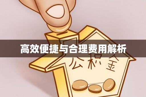 文登高效便捷与合理费用解析