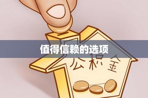 文登值得信赖的选项