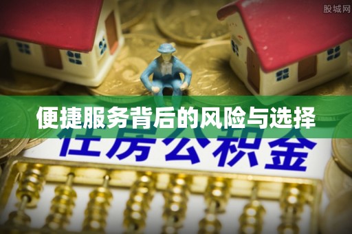 文登便捷服务背后的风险与选择
