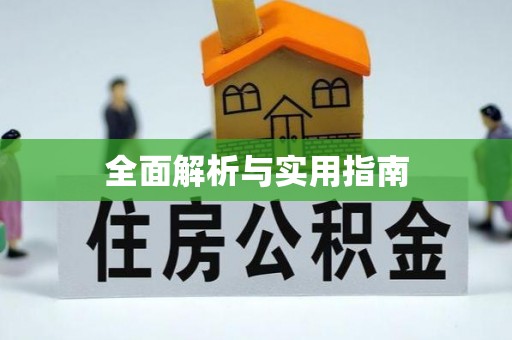 文登全面解析与实用指南