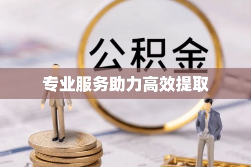 文登专业服务助力高效提取