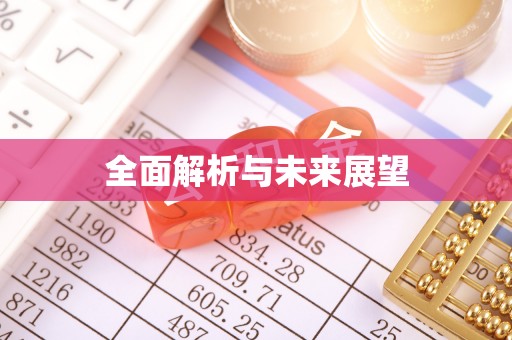 文登全面解析与未来展望