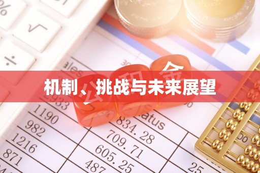 文登机制、挑战与未来展望