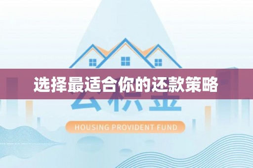 文登选择最适合你的还款策略