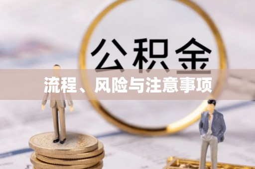 文登流程、风险与注意事项