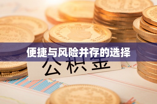 文登便捷与风险并存的选择