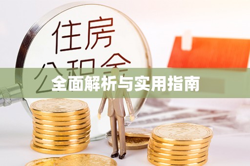 文登全面解析与实用指南